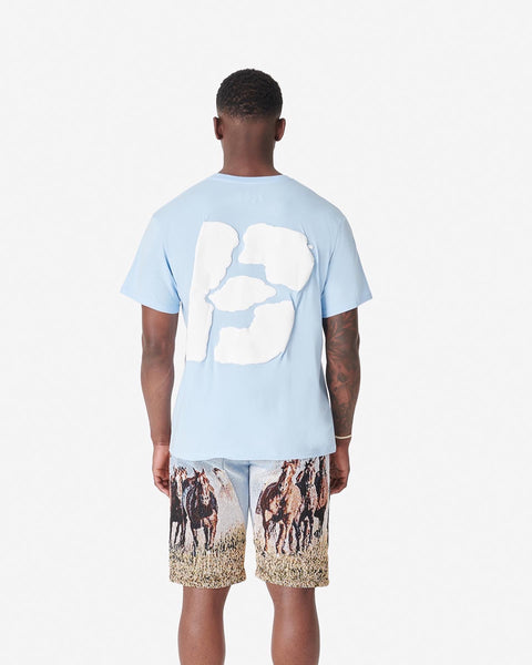 Baby Blue clouds